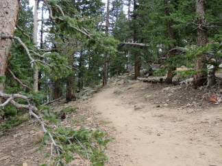 Path up mtn, RMNP